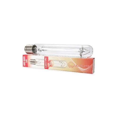 Generico Lampada HPS 600W - 400V