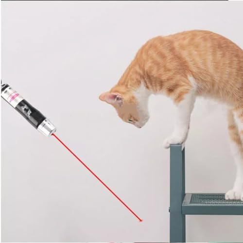 Image of Set of 2, Laser Light for Cats & Dogs to Play | Red Powerful Long Range Laser Pointer for Kids & Animal Play Fun | Keychain Laser Pointer LED Flashlight | Multicolour Pcs