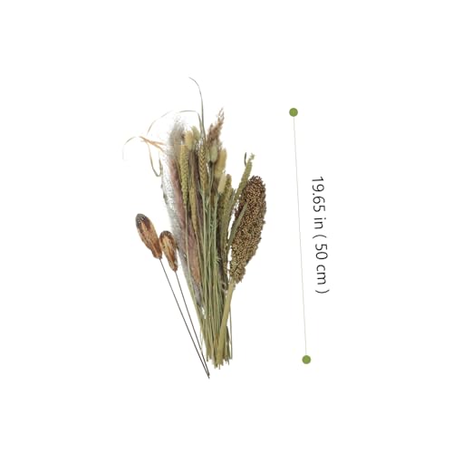 Ramo natural seco de pasto pampas y escoba para decoración miniatura 3
