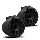 Wet Sounds REV10® Black Special Edition Revolution Series 10