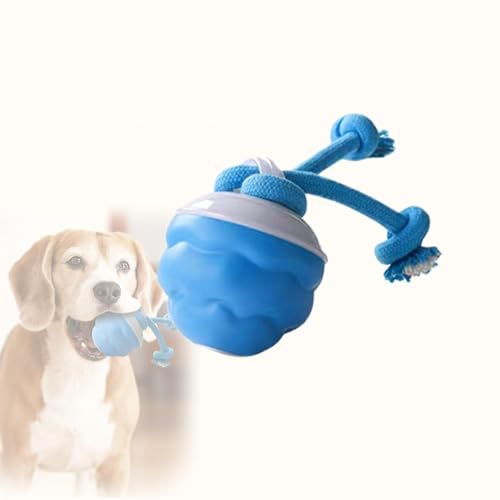 {[  yUSB[d/OΉz Iɓ]hbO{[ Sޗ݌v ^E^E^p ԁE^s΍ {\h ybgXgXߋ +R