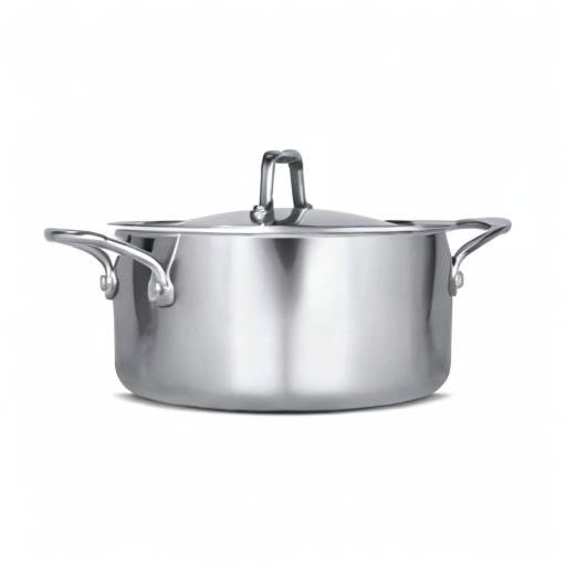 MILTON Pro cook Triply Stainless-Steel Casserole Handi/Stock Pot/Biryani Pot with Lid 20 cm, 3 Litre, Cook-N-Serve Bowl, Gas and Induction Friendly, 3 Years Warranty