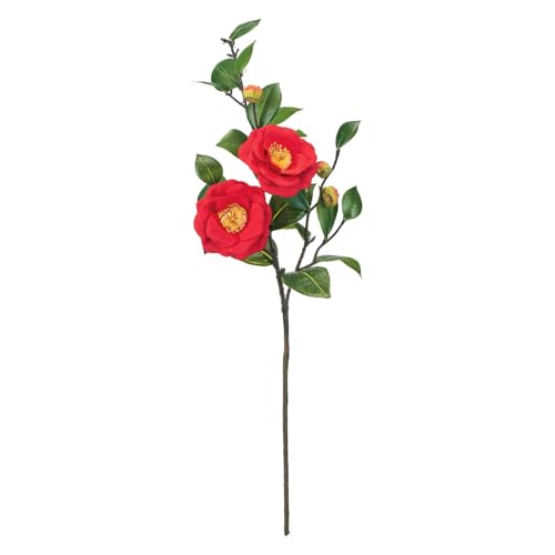 (Tokyodo)  ܂  bh Ԍa9×L57×W20cm 1 FJ009029-003