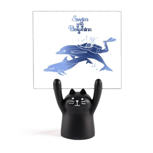 CJƈꏏɉjƂĂ J[gD[LX^h^z_[