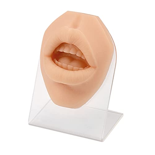 SimCoach Soft Silicone Lip Piercing Model with Acrylic Stand, Piercing