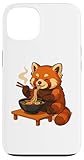 Roter Panda isst Ramen mit japanischen Schriftzeichen für jeden Manga- und Anime-Fan.