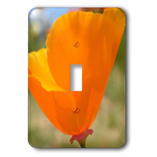 Interrupteur à bascule motif fleuri California Poppy avec plaque décorative résistante