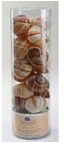 Miniatura 3 de Francés Escargots1,5decenas extragrande con 18Conchas de los Caracoles