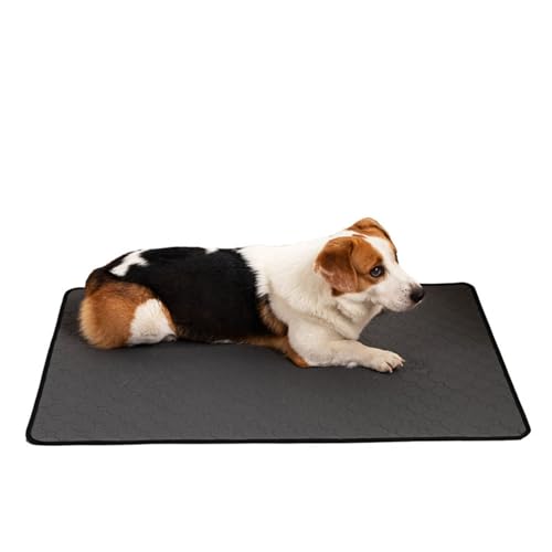 Puppy Pad - The Last Pee Pad You'll Get, 2026 New Puppy Pad with Pheromones, Leak & Odor Proof, Easy to Clean & Reuse (Gray,S)