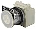SCHNEIDER ELECTRIC 9001KR9P38AH5 Push Button 600-Vac 10-Amp 30Mm T-K Electrical Box