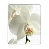 【Dimensions idéales】25 x 30 cm, 3 mm d'épaisseur