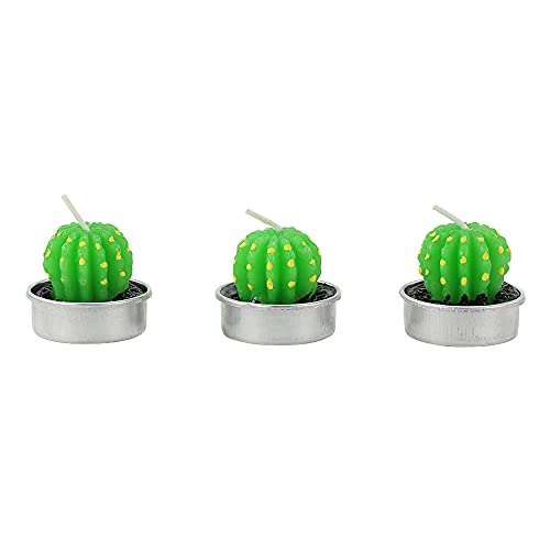 Kit 6 Velas Decorativas Formato de Mini Suculentas ou Cactos