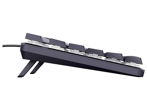 GXT 866 - Tastiera meccanica Torix, layout tedesco QWERTZ, switch Huano, tasti piatti, illuminazione RGB, anti-ghosting N-Key Rollover USB, programmabile, tastiera da gioco, PC portatile - Tastiera gaming - Immagine 3