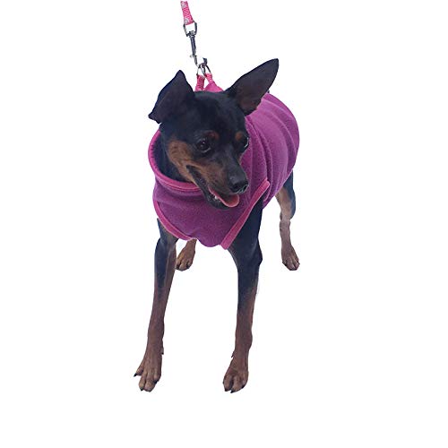 NashaFeiLi Pet Clothes, Dog Vest Jacket Winter Warm Coat Harness for Puppy Small Medium Dog (XS, Purple)