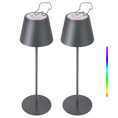FUYO 2 Stück Tischlampe Kabellos Dimmbare Touch Control Led Tischleuchte...