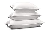 Blue Ridge Home Fashions White Siberian 1000 Thread Count Pima Cotton Pillow-600 Fill Power-Made in USA, King