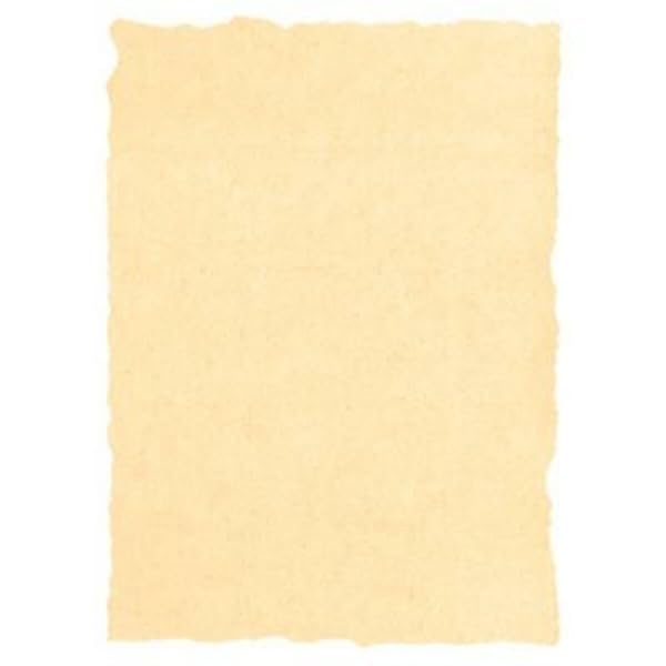 Papier sulfurisé Michel Crème A4 25 Unités