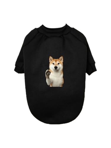  Č   ybg hbOEFA ̕ L ybgEFA h _炩 іh~   t@bV U ybgpi