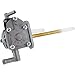 Fuel Star Fuel Valve Kit Compatible with/Replacement for Suzuki LT-A 400 King Quad 2WD 04, LT-F 400 Eiger 2WD 04 FS101-0098