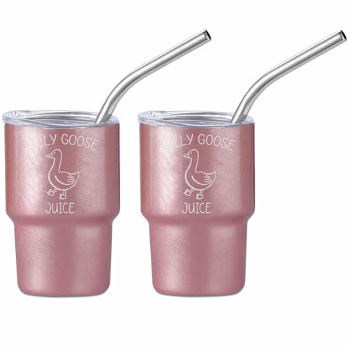 Set of 2 Mini Tumbler Shot Glasses 3oz Shot Glass With Straw and Lid S