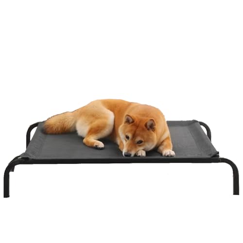 loyfreeyo ybgxbh pxbh  rt \ vŐ􂦂 ^A^A^ɍœK ~߉Hŗ (M)