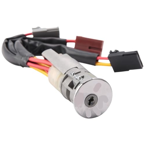 Cerradura puerta maletero Citroen ZX y bomb&iacute;n de combustible con llaves
