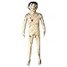 X-Toy Accessoires Masculins de Halloween de Corps d'horreur, Jouet hanté de Maison 66Inch de Maison