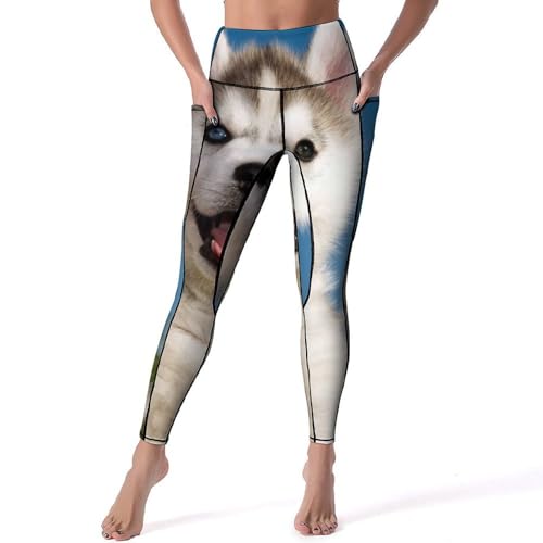 Leggings pour fitness Husky pantalon de sport gainant taille S