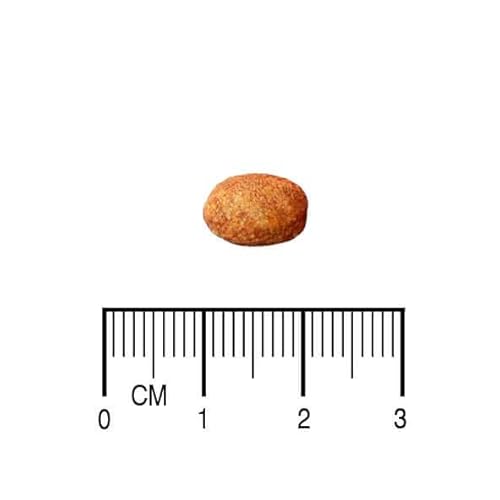 Veterinary Obesity & Diabetic Equilíbrio 2kg