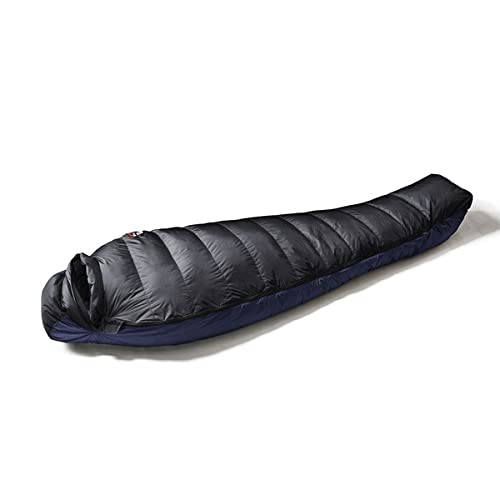 AURORA light 600SPDX BLK レギュラー 4938101052221