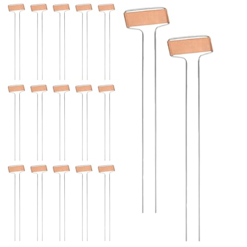 TOYZFRIENDY 25 Marcadores Reutilizables Para Plantas Y Hortalizas Etiquetas Para Plantas Y Flores De Exterior Etiquetas De Cobre Para Estacas De Jardín Para Identificar