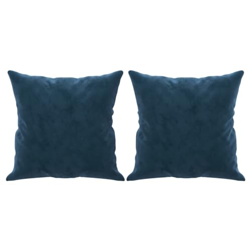 CIOURSTO Cojines de sofá de Terciopelo, 2 Piezas, Cojines Decorativos con Relleno, para sofá, 40 X 40 cm, para Salón, Dormitorio (Azul)