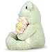 IKASA Frog Stuffed Animals Plush Toys,13.5