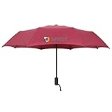 WENINETIES Paraguas de Coche para Smart#1 2023-, Paraguas de Viaje Plegable A Prueba de Viento,Paraguas Automático Portátil Compacto de Viaje,Compacto y Fuerte,B