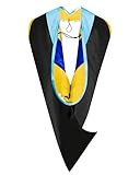 GraduationMall Graduation Hood for Master Degree Deluxe Academic Hood for Education College Degrees (Sky Blue/Royal/Gold)