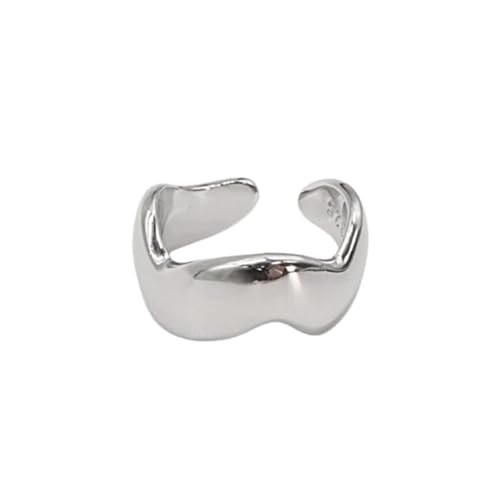 [AJIRO ACCESSORY]C043(Vo[) C[Jt C[JtX xVo[ CJt Vo[ S[h silver925 Vv Ў Mtg v[g fB[X j[N t[TCY ajiro