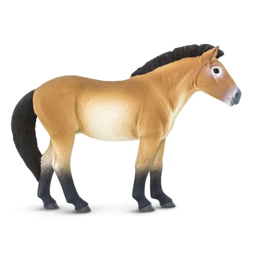 Przewalskis Horse figurine réaliste de cheval de Przewalski sauvage pour collectionneurs