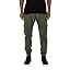Olive 2