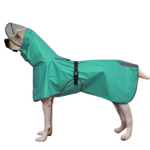 AttRex  CR[g ^ ^ ^ ₷ |` Jbp Xqt J Sh h ˑf ~J΍ U ybgpi (2XL,O[)
