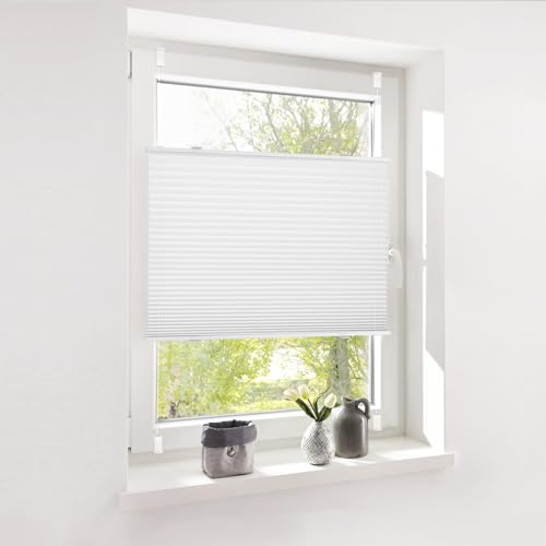 Deswell Plissee ohne Bohren Klemmfix Weiß B60 x H120 cm Plisseerollo Sonnenschutz und Sichtschutz Jalousien Easyfix Plissees Lichtdurchlässig Rollo für Fenster & Tür