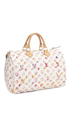 Louis Vuitton Watercolor Speedy 35