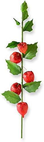 Amazon 仏縁堂ブランド お盆用品 お盆飾り 枝付き5連ほおずき 盆棚 精霊棚 仏壇 迎え火 祭り 造花 新盆 初盆 鬼灯 儀礼用お盆 オンライン通販