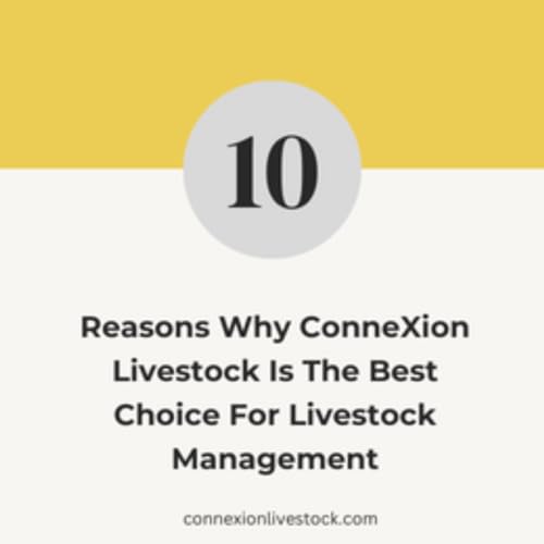 10 Reasons Why ConneXion Livestock is the Best Choice for Livestock Management