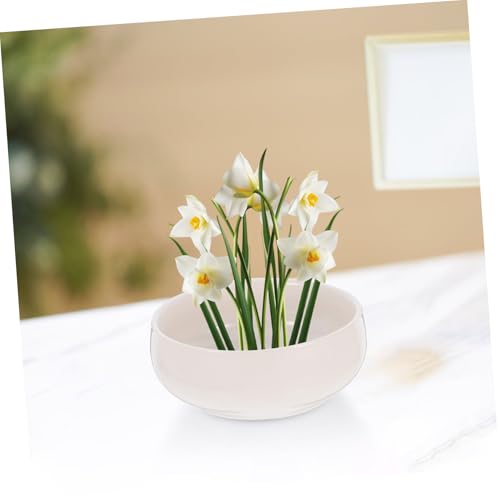 Pot de fleurs en céramique pour nénuphars idéal pour décorer votre bureau et salon - 7