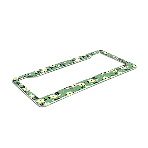 Wozukia Ditsy Floral License Plate Frame Pretty Small White Flower Pale Green Repeat Background Fashion Metal License Plate Cover Front Plates Frames For Women Men Us Vehicles Standard #TOP1