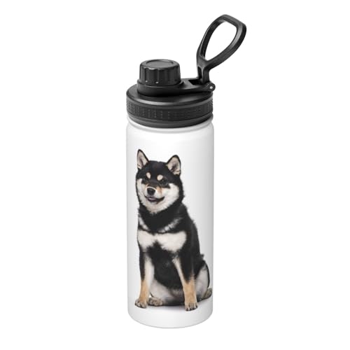 ���� �Č� ���� ���� �ʔ��� ���� �X�e�����X�{�g�� ���@�r 530ml ������ �ۗ�ۉ� �^��f�M �X�|�[�c�{�g�� ��e�� �n���h���t�� �����^�� �R��h�~ ������� �o�R �A�E�g�h�A �ʋ� �ʊw