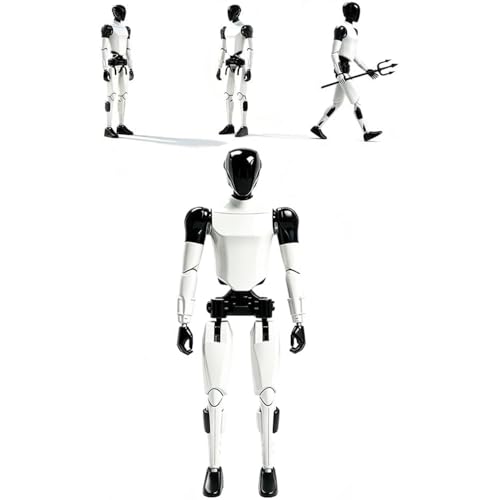 Tetesese Articulated Humanoid Robot T13