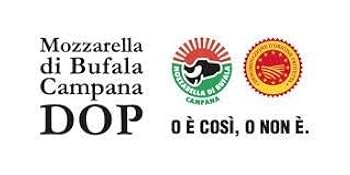 Mozzarella Di Bufala 250 Gr | Conf Da 1 Kg - Fattoria Santa Lucia