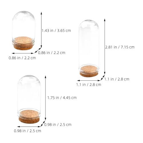 Mini cúpulas de vidrio de alta transparencia y base de madera noble para micro exhibición 2