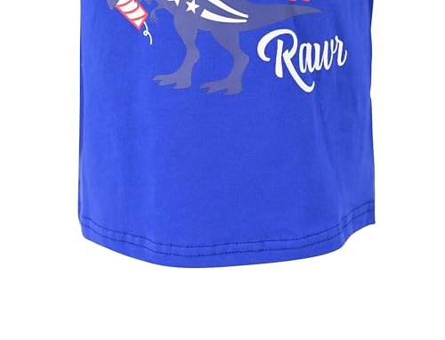 Image of Boys Short Sleeve Funny Graphic Tees for Toddler to Big Kid